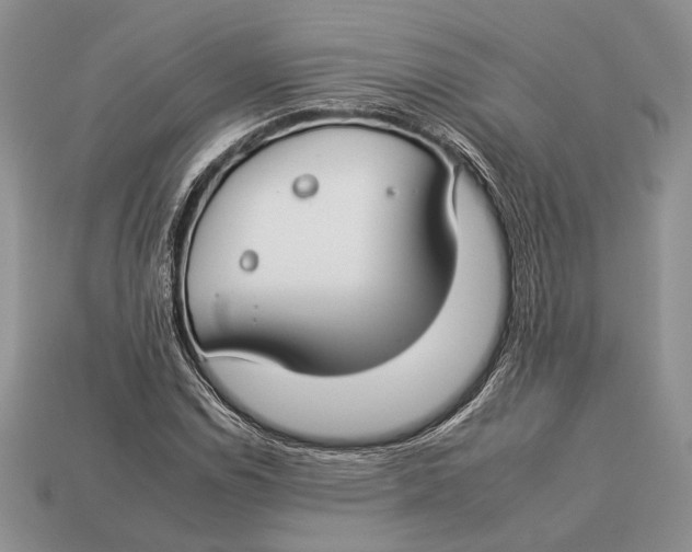 X0000112931114200909211108