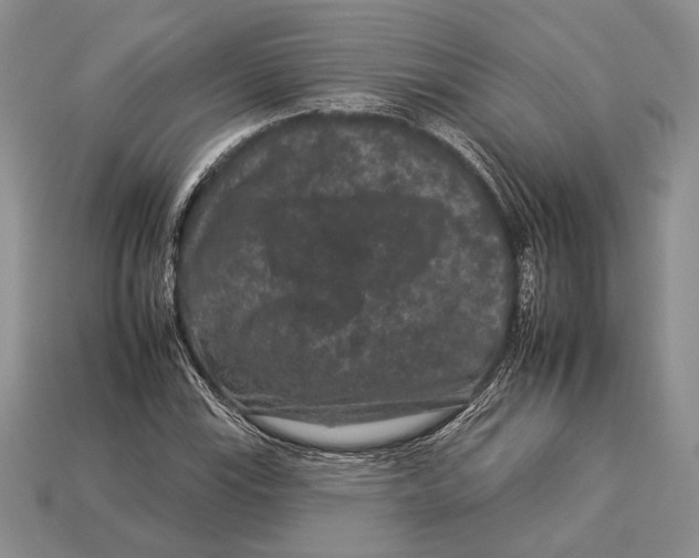 X0000112931115200909211108