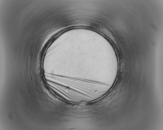 X0000112931116200909211108