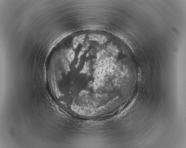 X0000112931117200909211108