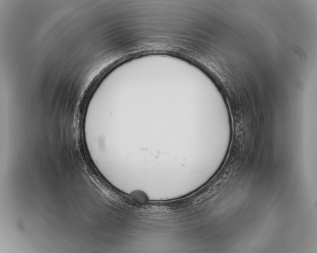 X0000112931119200909211108