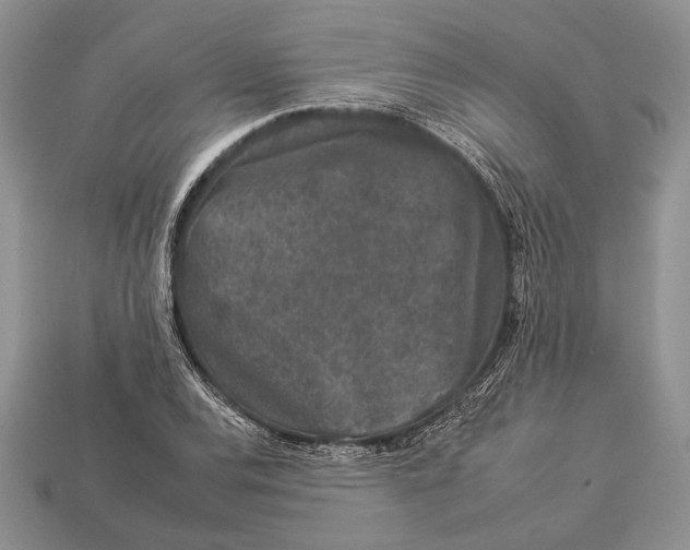 X0000112931120200909211108