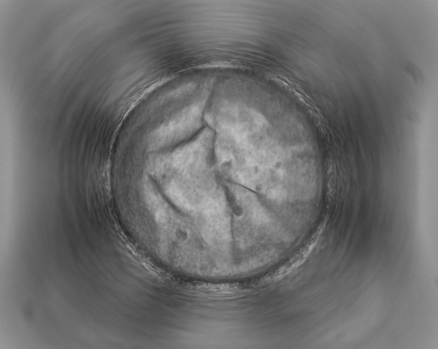 X0000112931121200909211108