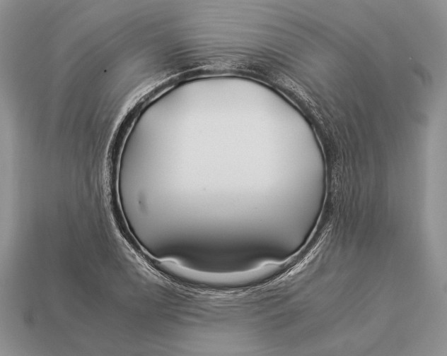 X0000112931122200909211108