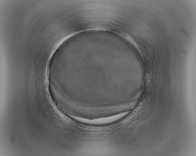 X0000112931124200909211108