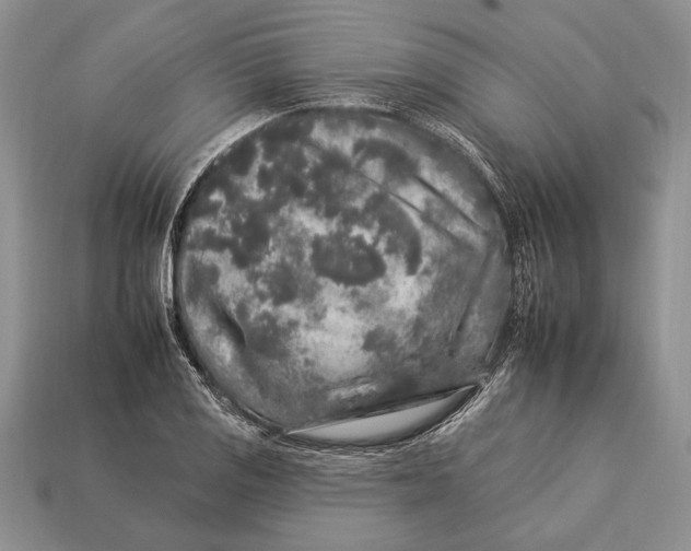 X0000112931125200909211108