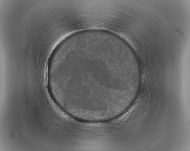 X0000112931126200909211108