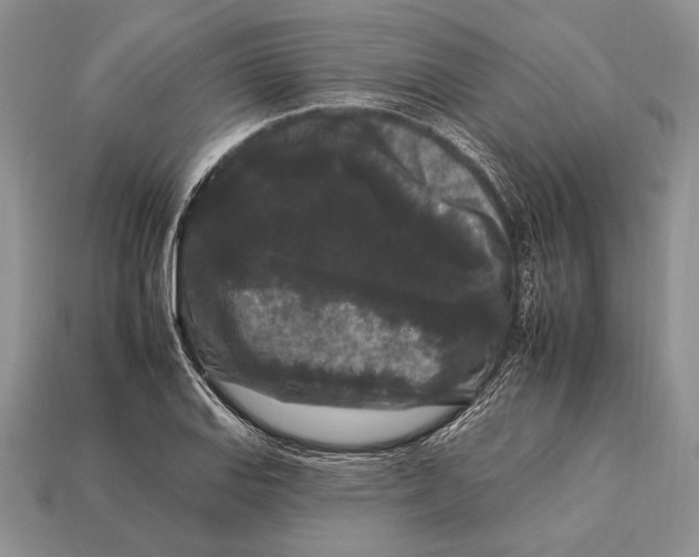 X0000112931127200909211108