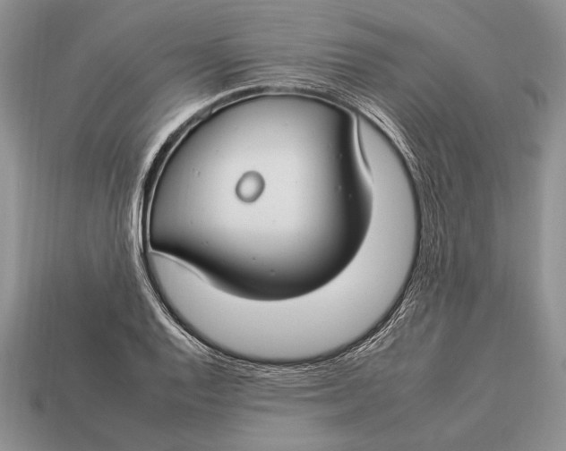 X0000112931128200909211108
