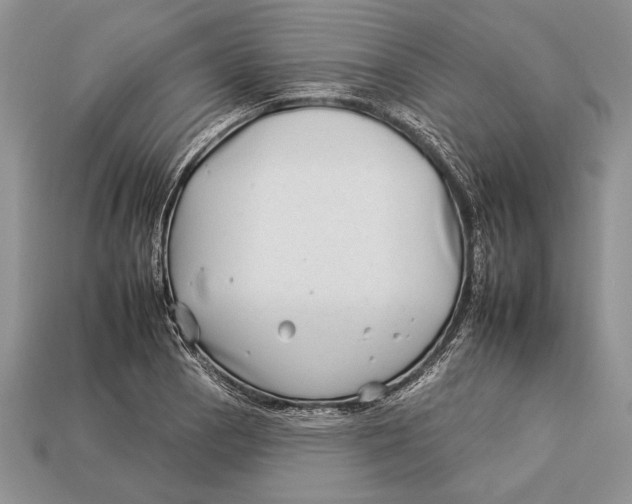 X0000112931129200909211108