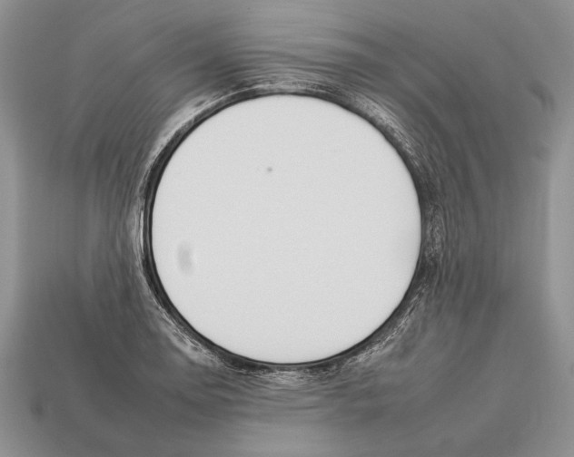 X0000112931130200909211108