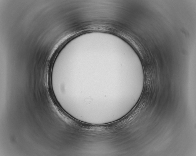 X0000112931131200909211108