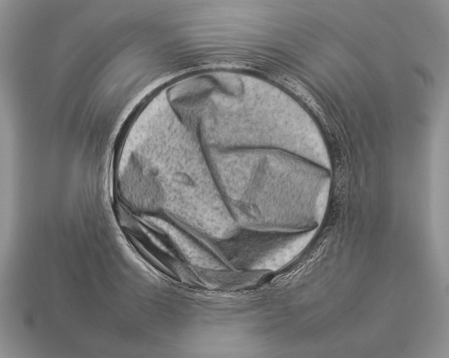 X0000112931132200909211108