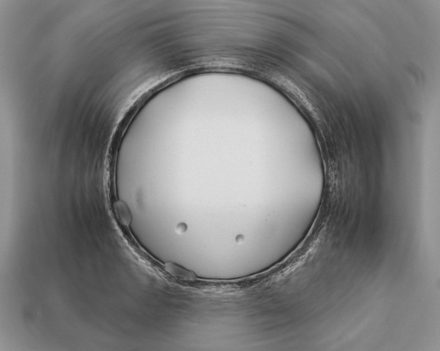 X0000112931133200909211108