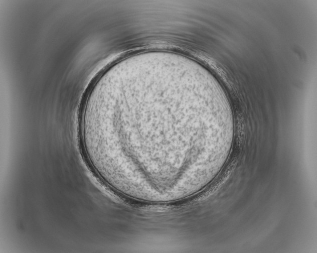 X0000112931134200909211108