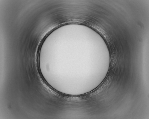 X0000112931135200909211108
