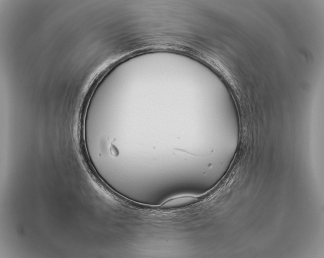 X0000112931136200909211108
