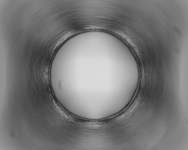 X0000112931137200909211108