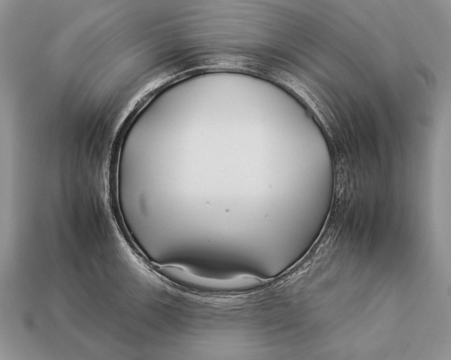 X0000112931139200909211108