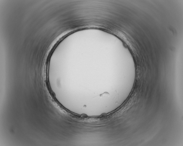 X0000112931140200909211108