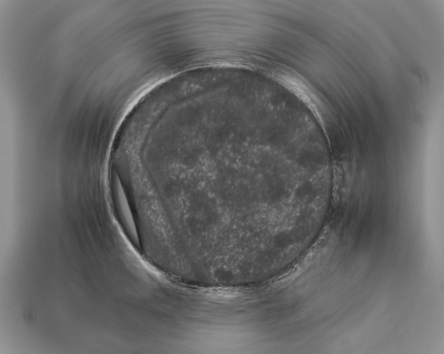 X0000112931141200909211108