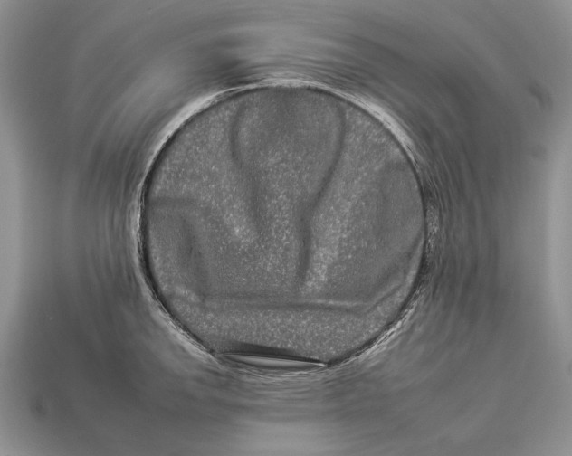 X0000112931142200909211108
