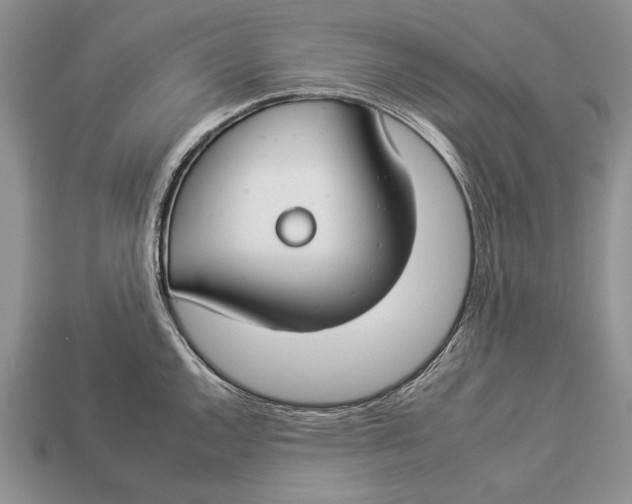 X0000112931144200909211108