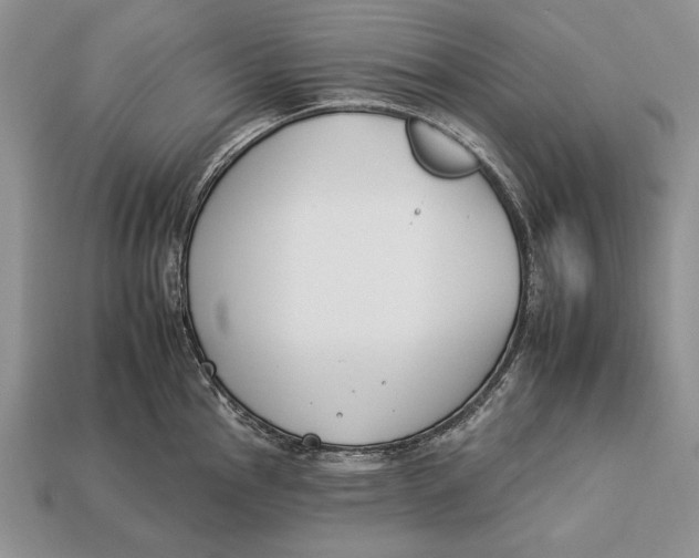 X0000112931145200909211108