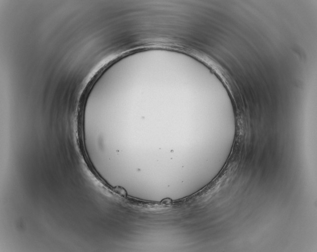 X0000112931147200909211108