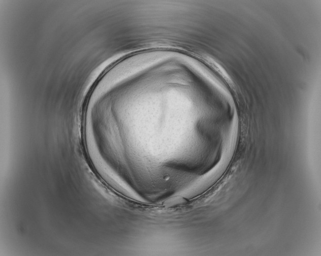 X0000112931148200909211108