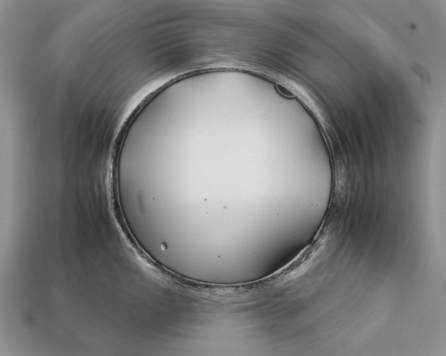 X0000112931149200909211108