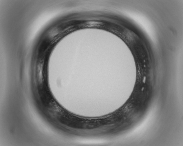 X0000112931150200909211108