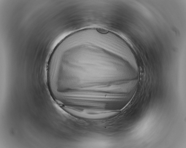 X0000112931151200909211108