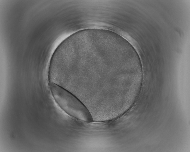 X0000112931152200909211108
