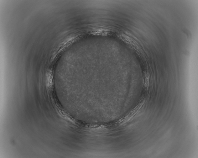 X0000112931154200909211108