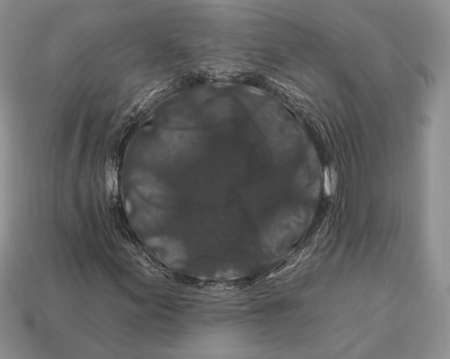 X0000112931155200909211108