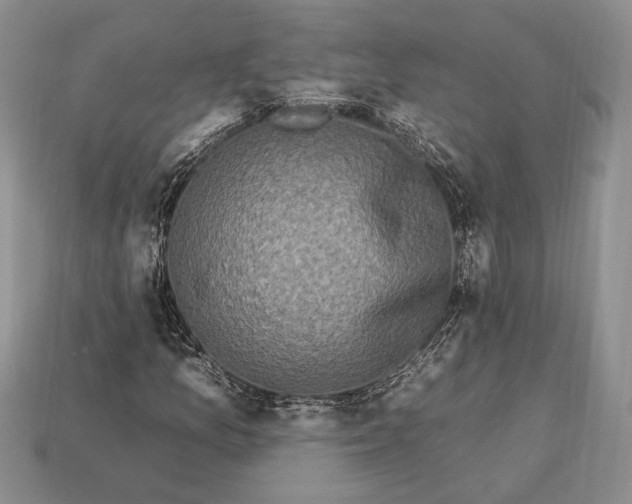 X0000112931157200909211108
