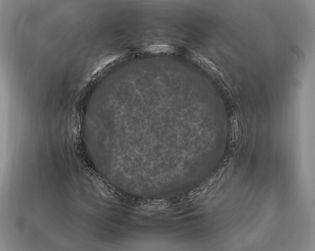 X0000112931158200909211108