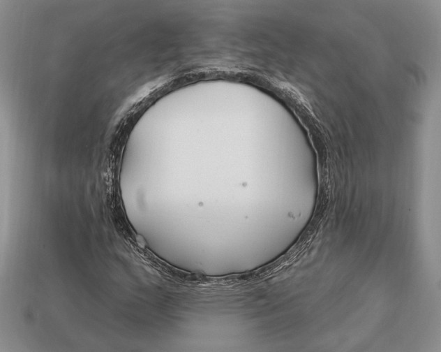 X0000112931159200909211108