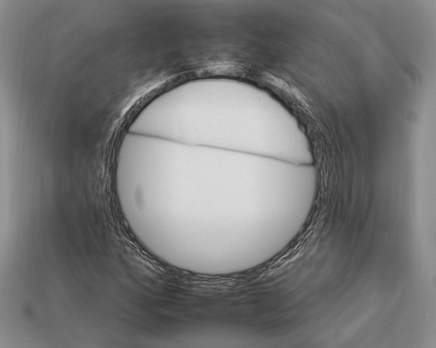 X0000112931160200909211108