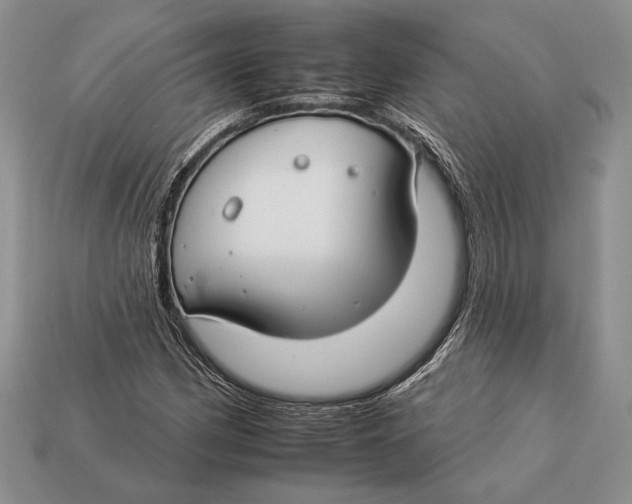 X0000112931162200909211108