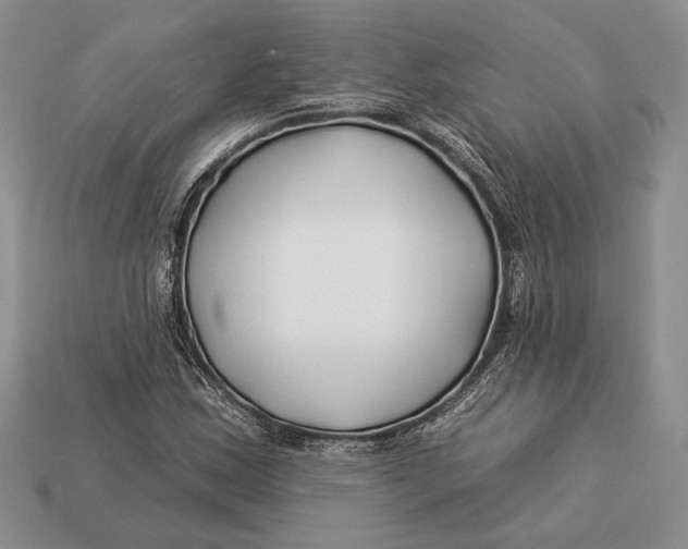 X0000112931163200909211108