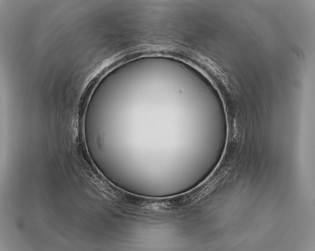 X0000112931165200909211108