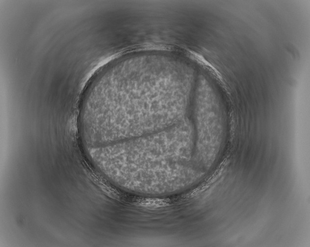 X0000112931166200909211108