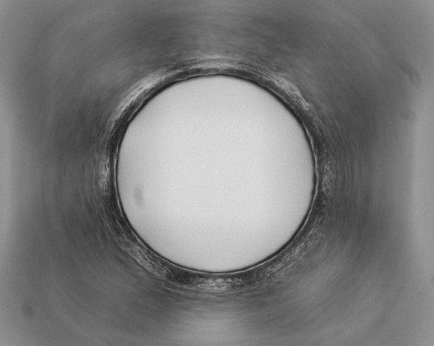 X0000112931167200909211108