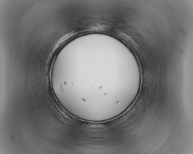 X0000112931168200909211107