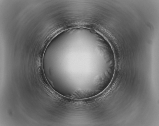 X0000112931169200909211107
