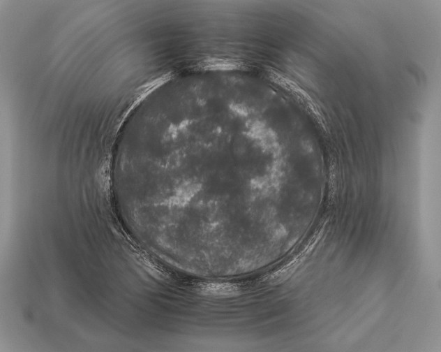 X0000112931170200909211107