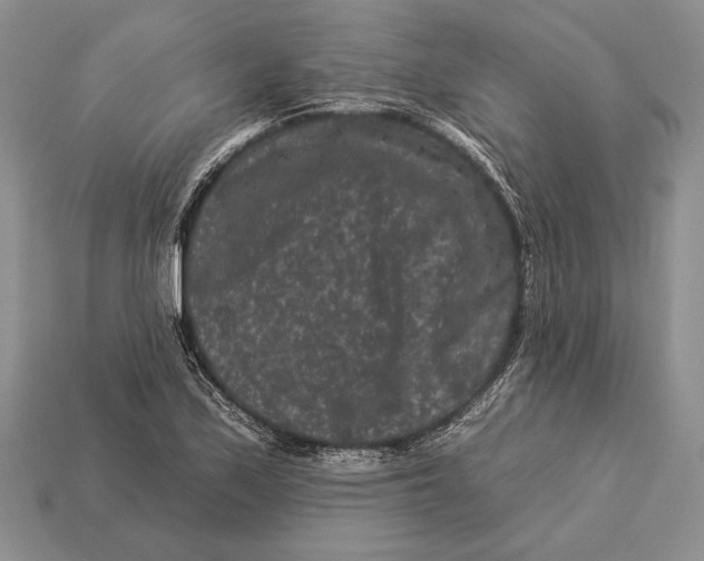 X0000112931171200909211107