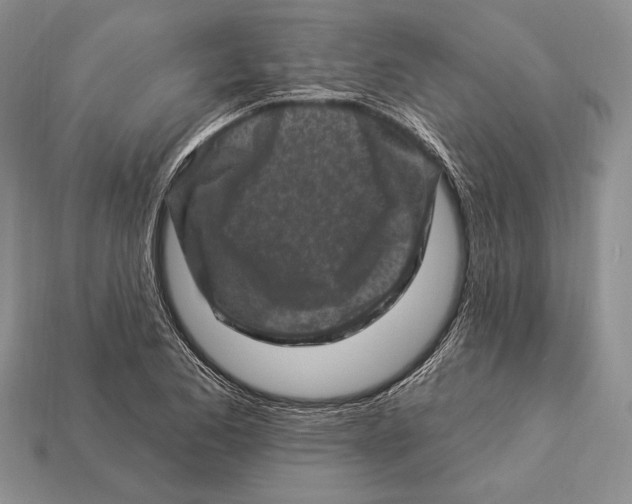 X0000112931173200909211107